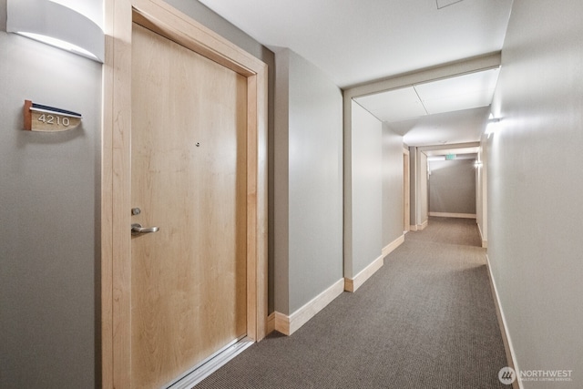 10610 NE 9th Pl Unit C4210, Bellevue, WA 98004 - corridor featuring carpet floors and baseboards