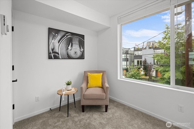 9030 18th Ave SW Unit E, Seattle, WA 98106 - sitting room with healthy amount of natural light and carpet