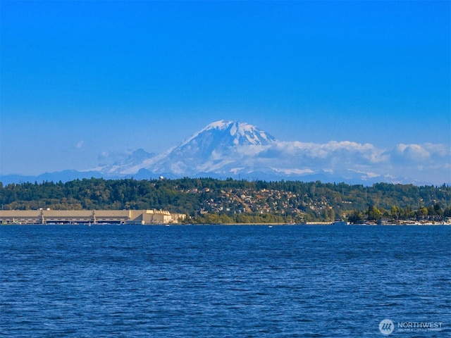 8055 W Mercer Way, Mercer Island, WA 98040 - photo 38