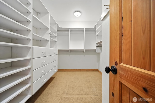 847 SE Covey Ct, College Place, WA 99324 - spacious closet featuring carpet floors