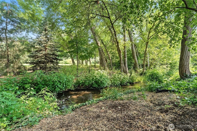 847 SE Covey Ct, College Place, WA 99324 - view of undeveloped land