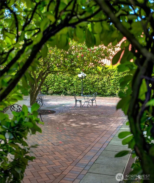 surrounding community with a patio area