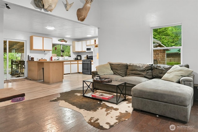 6258 Bellwood Dr, Maple Falls, WA 98266 - living room with light wood-style flooring