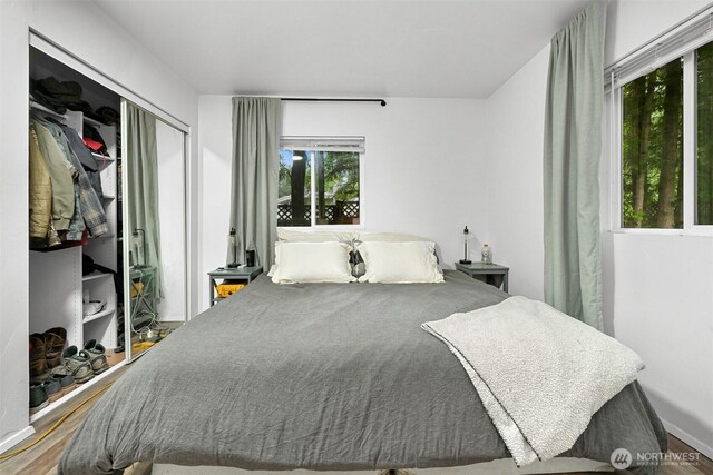 6258 Bellwood Dr, Maple Falls, WA 98266 - bedroom featuring multiple windows and a closet