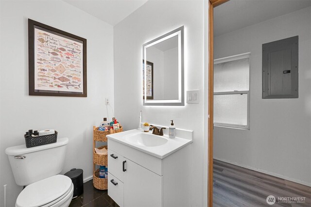 6258 Bellwood Dr, Maple Falls, WA 98266 - bathroom with electric panel and vanity