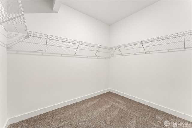 13937 181st St E Unit 8, Puyallup, WA 98374 - spacious closet with carpet flooring