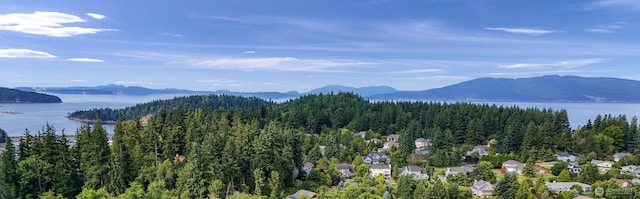 2616 16th St, Bellingham, WA 98229 - view of mountain background with a large body of water and a forest