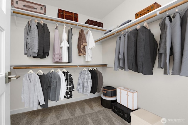 1401 89th Ave SE, Tumwater, WA 98501 - spacious closet featuring carpet floors