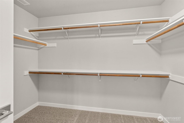 1401 89th Ave SE, Tumwater, WA 98501 - walk in closet featuring carpet flooring