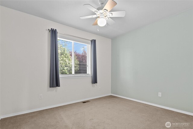 7003 79th Dr NE, Marysville, WA 98270 - photo 14