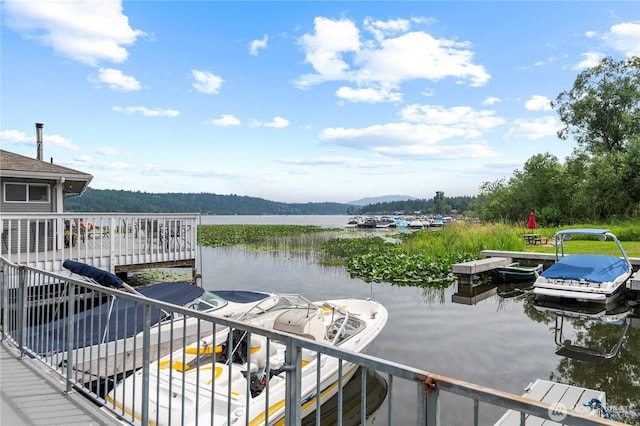 17306 NE 45th St Unit 116, Redmond, WA 98052 - water view featuring a boat dock