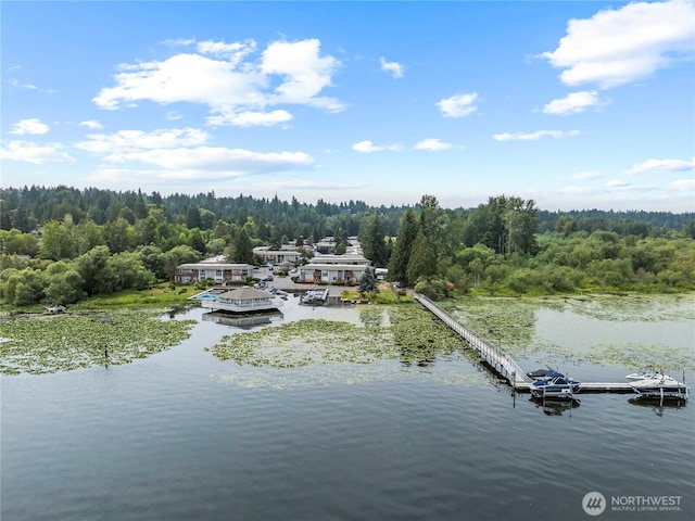 17306 NE 45th St Unit 116, Redmond, WA 98052 - aerial view of a forest and a nearby body of water