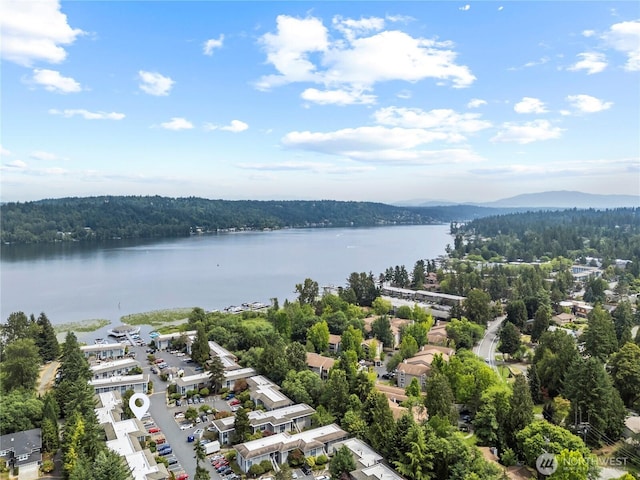 17306 NE 45th St Unit 116, Redmond, WA 98052 - aerial view of a water and mountain view and a heavily wooded area