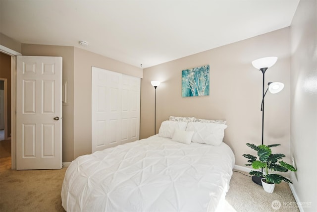 26327 116th Ave SE Unit E102, Kent, WA 98030 - bedroom featuring carpet flooring and a closet