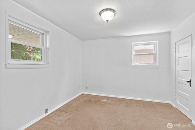 3510 S K St, Tacoma, WA 98418 - empty room with carpet flooring and ornamental molding