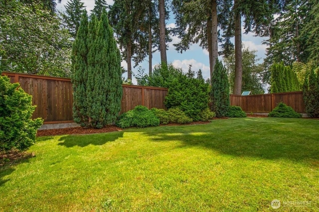 9911 NE 69th St, Vancouver, WA 98662 - photo 38