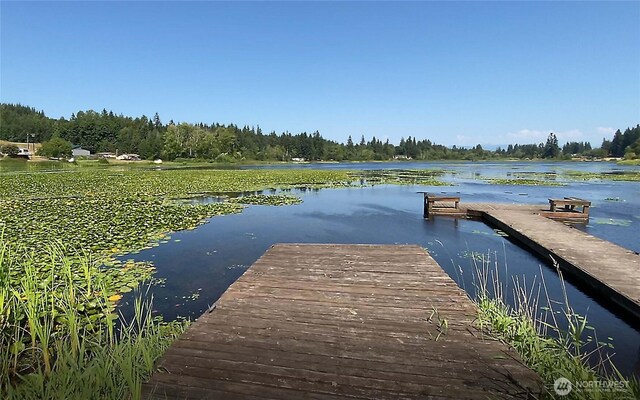 2102 256th St NW, Stanwood, WA 98292 - dock area with a water view
