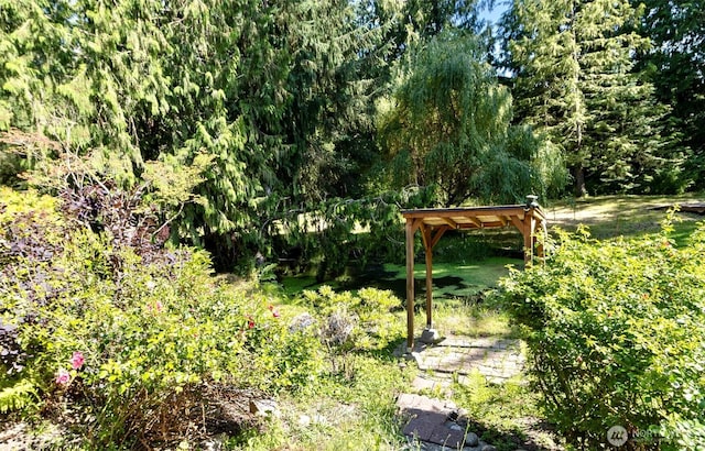 12127 Chappel Rd, Arlington, WA 98223 - photo 38