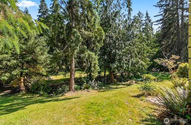 12127 Chappel Rd, Arlington, WA 98223 - photo 39