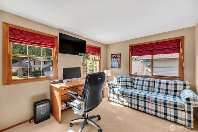 1914 232nd Pl NE, Sammamish, WA 98074 - photo 28