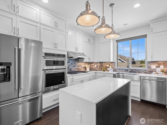 14031 3rd Ave NE, Duvall, WA 98019 - kitchen featuring appliances with stainless steel finishes, under cabinet range hood, dark wood-style floors, light countertops, and white cabinetry