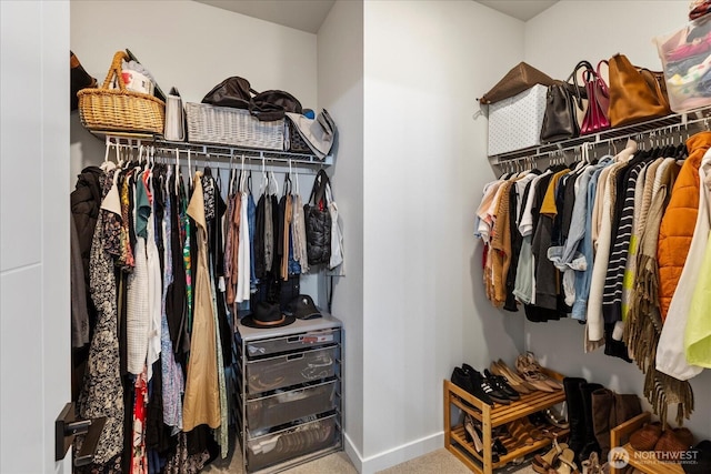 21511 50th Ave W Unit E, Mountlake Terrace, WA 98043 - walk in closet featuring carpet flooring
