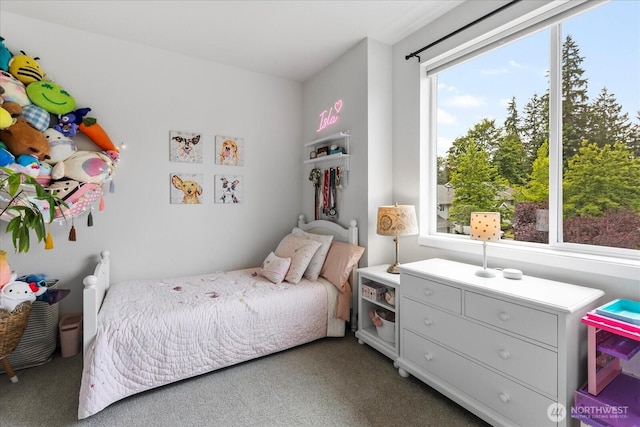 21511 50th Ave W Unit E, Mountlake Terrace, WA 98043 - view of carpeted bedroom