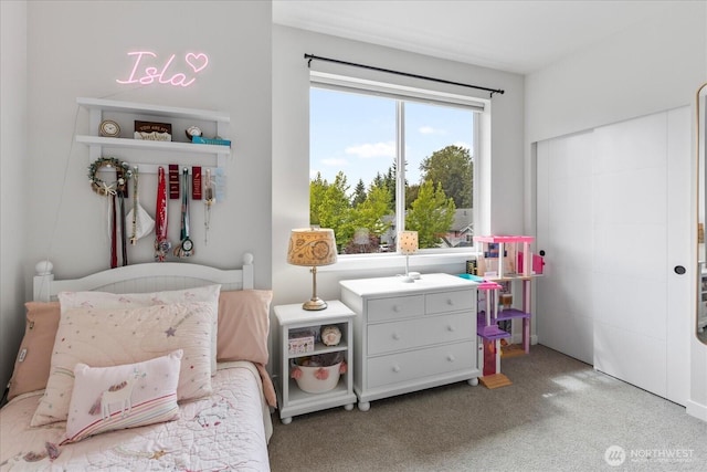 21511 50th Ave W Unit E, Mountlake Terrace, WA 98043 - bedroom with carpet floors