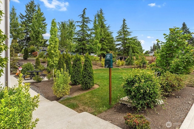 21511 50th Ave W Unit E, Mountlake Terrace, WA 98043 - view of green lawn