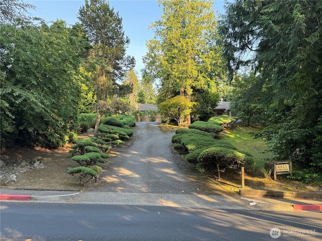 8855 Points Dr NE, Clyde Hill, WA 98004 - view of asphalt driveway