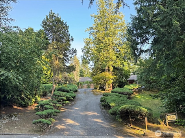 8855 Points Dr NE, Clyde Hill, WA 98004 - surrounding community