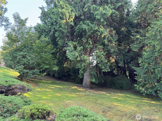8855 Points Dr NE, Clyde Hill, WA 98004 - view of green lawn with a view of trees