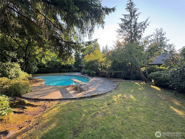 8855 Points Dr NE, Clyde Hill, WA 98004 - outdoor pool featuring a patio and a lawn