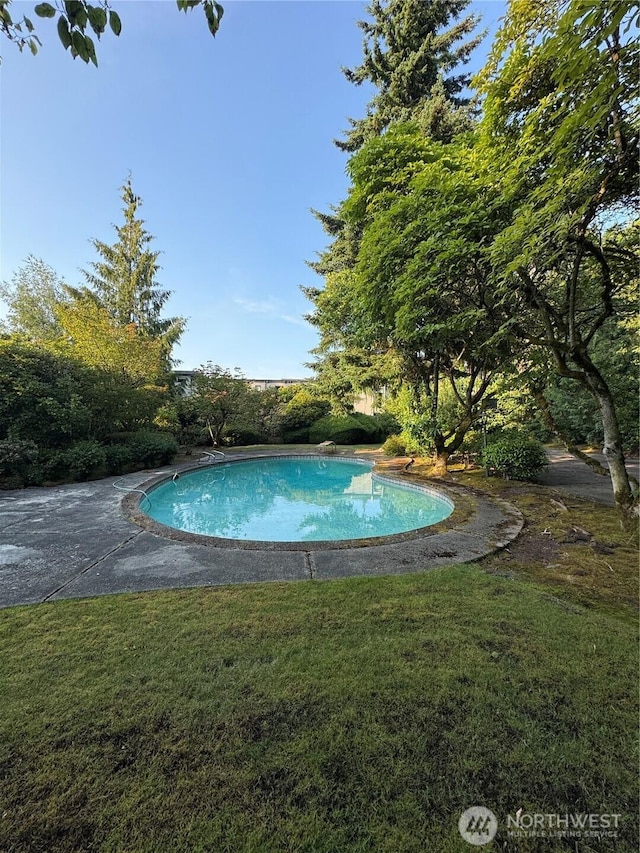 8855 Points Dr NE, Clyde Hill, WA 98004 - swimming pool featuring a lawn