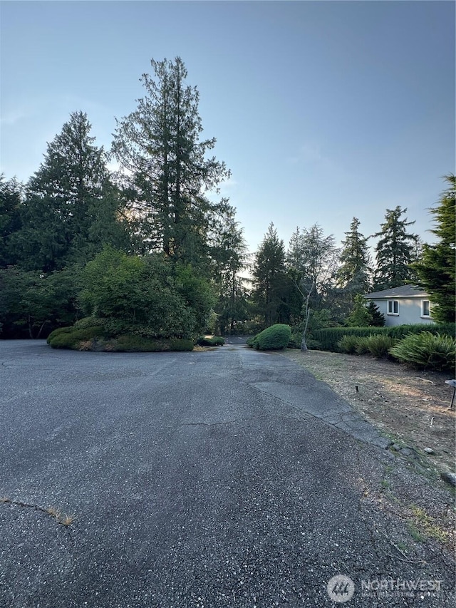 8855 Points Dr NE, Clyde Hill, WA 98004 - view of asphalt road