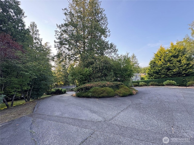 8855 Points Dr NE, Clyde Hill, WA 98004 - view of asphalt road