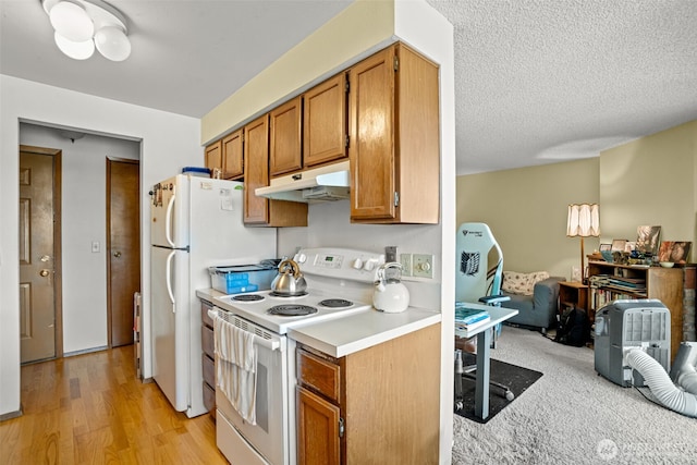3590 Narrows View Ln NE Unit 203, Bremerton, WA 98310 - kitchen featuring electric stove, under cabinet range hood, light countertops, brown cabinetry, and light wood finished floors