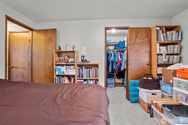 3590 Narrows View Ln NE Unit 203, Bremerton, WA 98310 - bedroom featuring carpet flooring, a textured ceiling, a closet, and a spacious closet