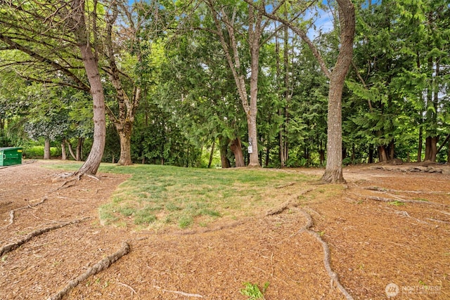 3590 Narrows View Ln NE Unit 203, Bremerton, WA 98310 - view of yard