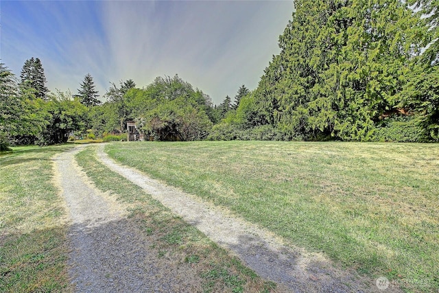 522 Chapman Rd, Camano Island, WA 98282 - view of dirt / gravel road featuring a forest view