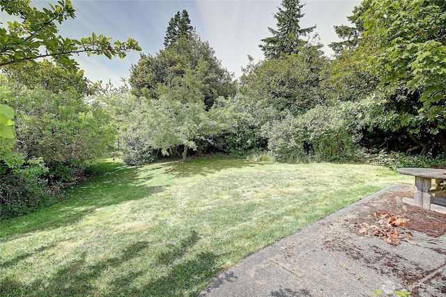 522 Chapman Rd, Camano Island, WA 98282 - view of green lawn