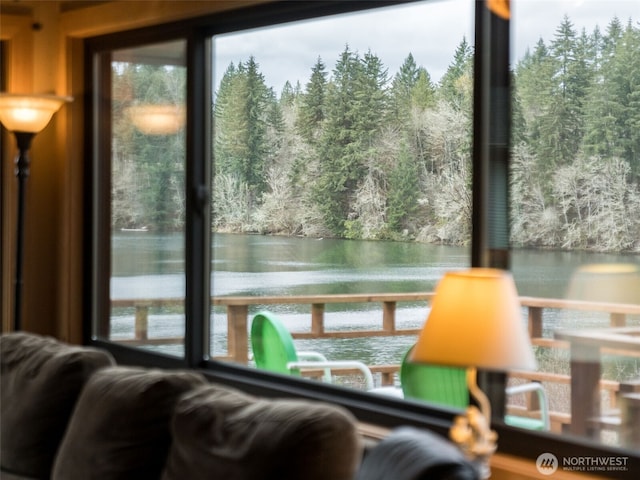 291 Hadaller Rd, Mossyrock, WA 98564 - detailed view of nearby water