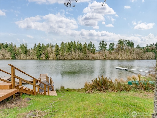 291 Hadaller Rd, Mossyrock, WA 98564 - dock with a water view