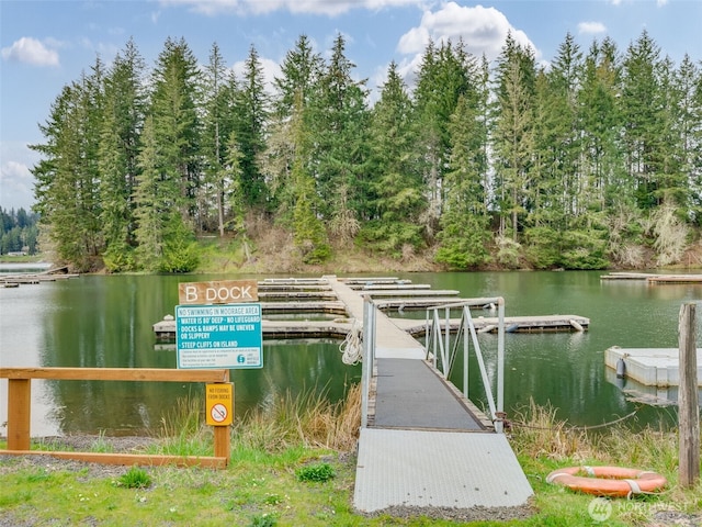 291 Hadaller Rd, Mossyrock, WA 98564 - dock featuring a water view and a forest view