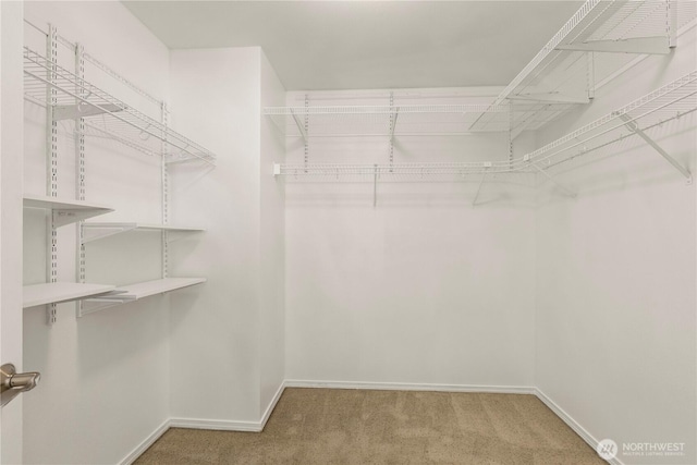 331 Index Ave SE, Renton, WA 98056 - spacious closet with carpet