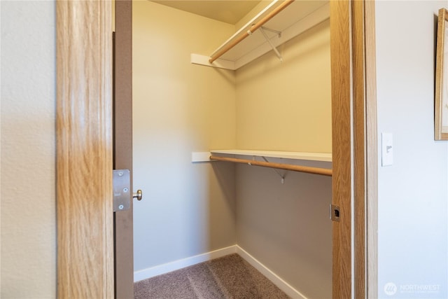 9960 Locust Ct SE, Yelm, WA 98597 - spacious closet with carpet flooring