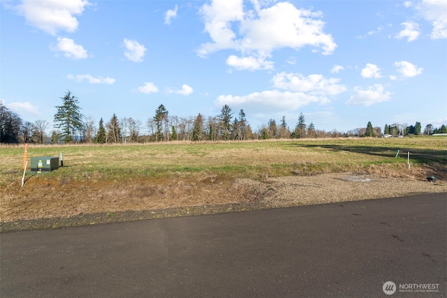 50 Sunnyfield Dr, Cathlamet, WA 98612 - photo 2