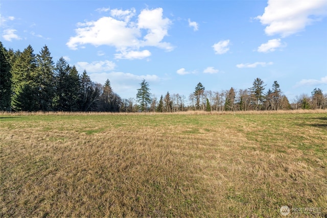50 Sunnyfield Dr, Cathlamet, WA 98612 - photo 3