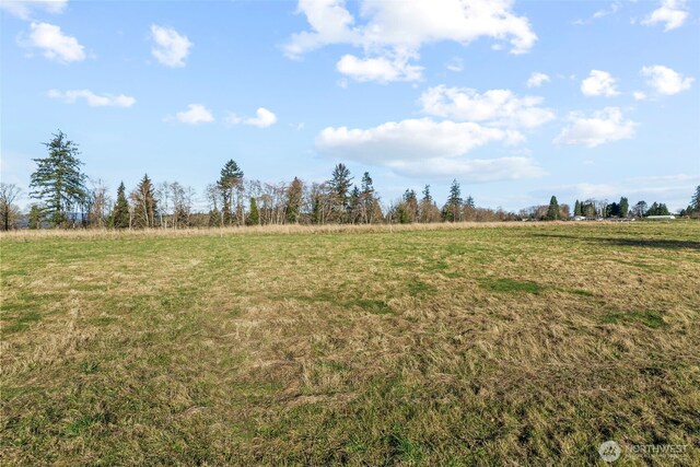 50 Sunnyfield Dr, Cathlamet, WA 98612 - photo 4