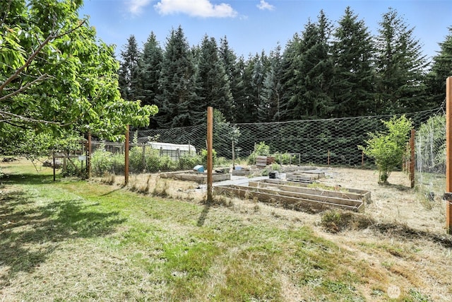 116 Noble Rd, Winlock, WA 98596 - view of yard with a vegetable garden